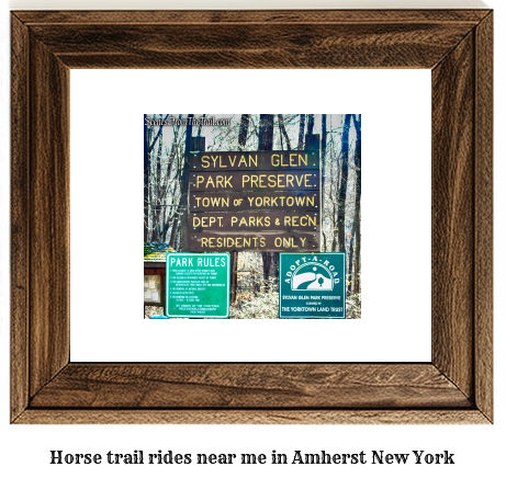 horse trail rides near me in Amherst, New York